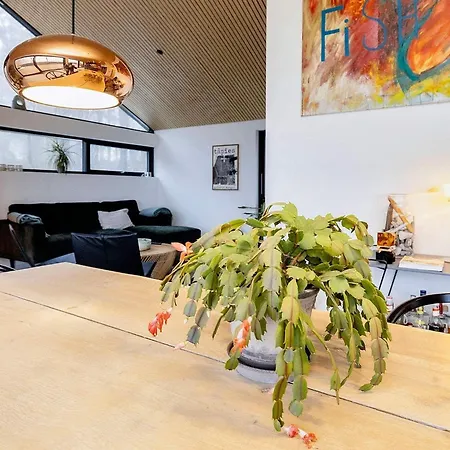 Iv Frederikshavn